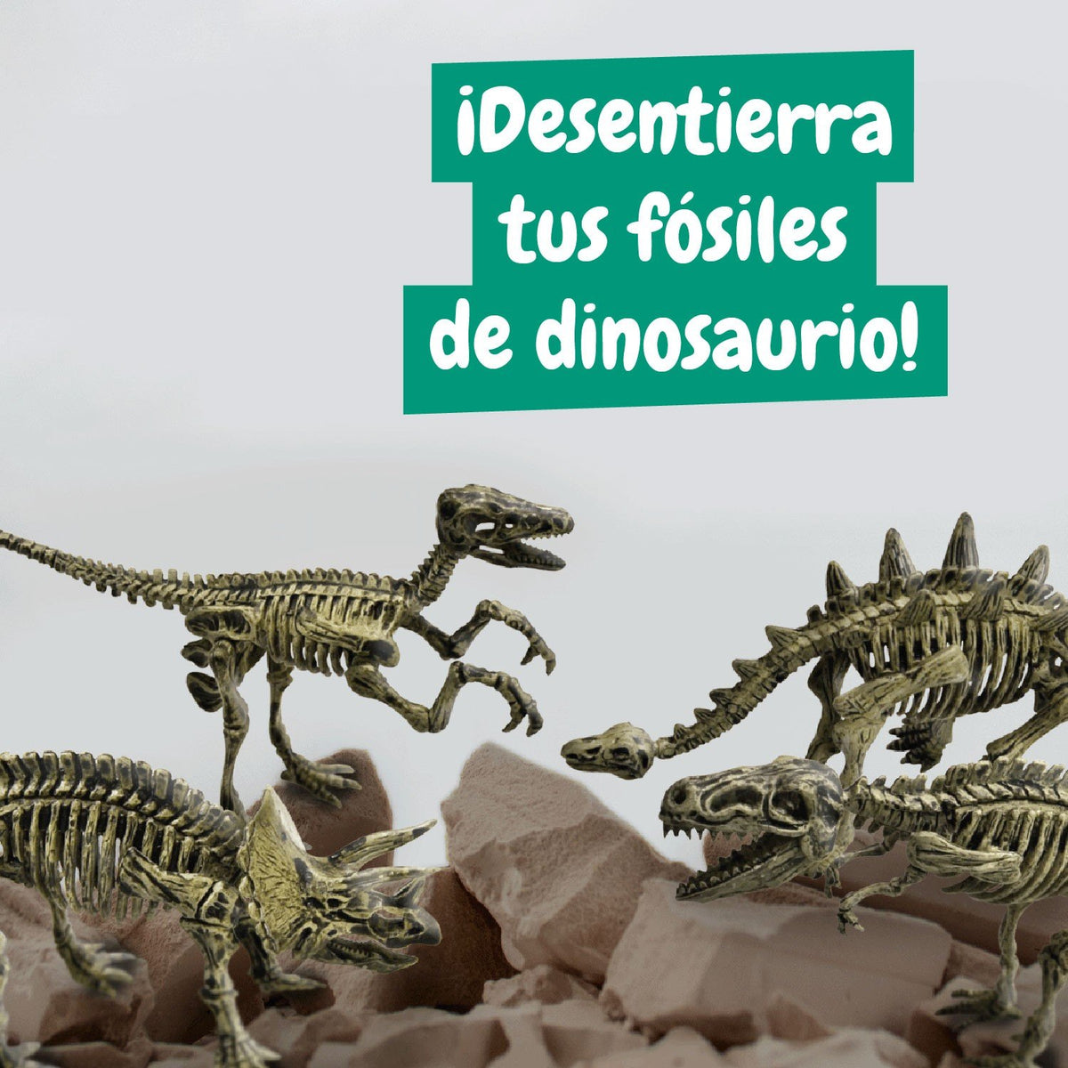 Excavaciones Fósiles 4 em 1