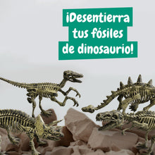 Excavaciones Fósiles 4 em 1