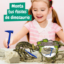 Excavaciones Fósiles 4 em 1