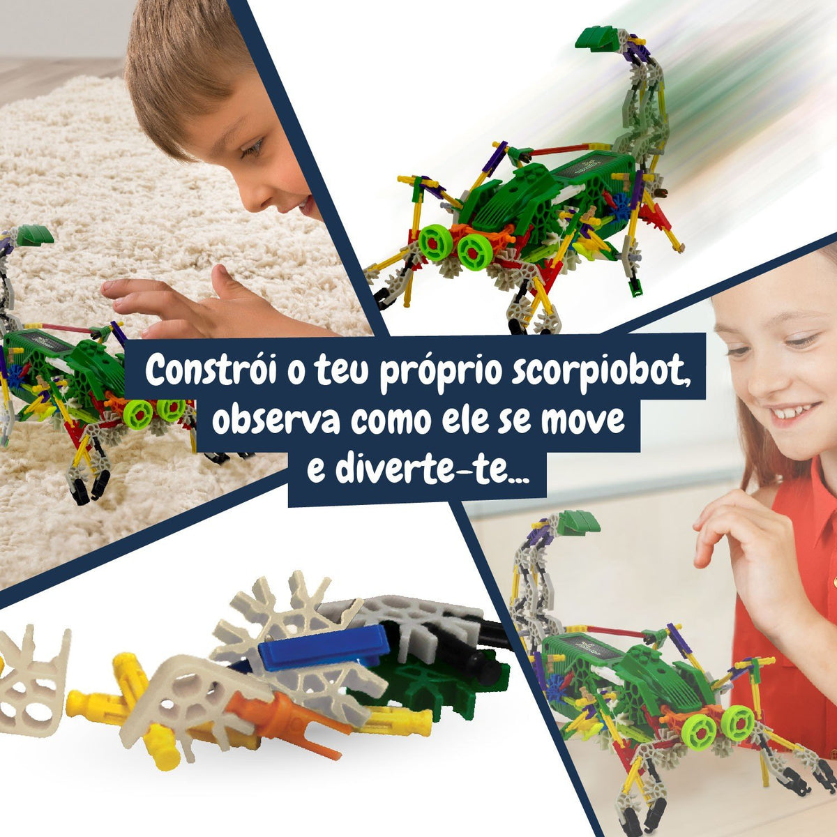 Robot - Robotics Scorpiobot