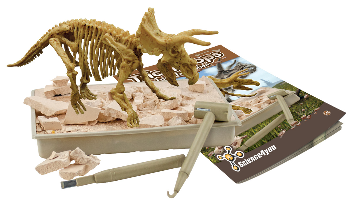 Triceratops - Fossil Excavation