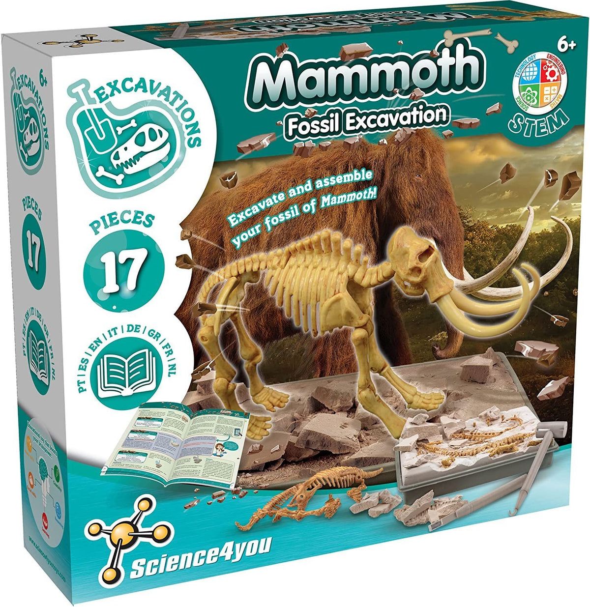 Excavaciones Fósiles - Mamut