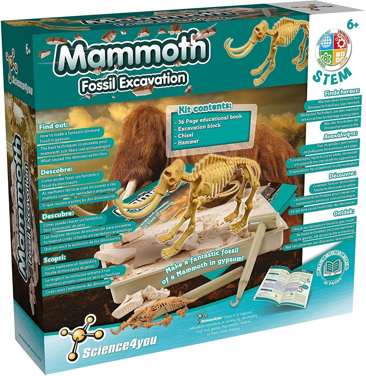 Excavaciones Fósiles - Mamut
