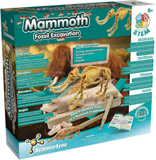 Excavaciones Fósiles - Mamut