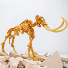 Excavaciones Fósiles - Mamut