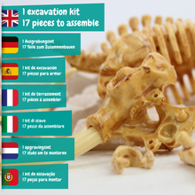 Excavaciones Fósiles - Mamut