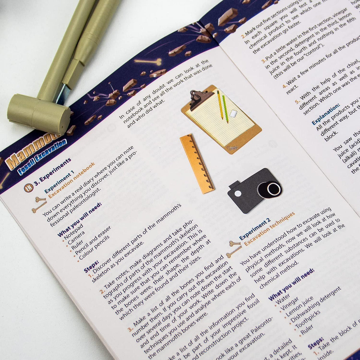 Excavaciones Fósiles - Mamut
