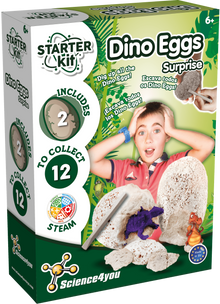 Starter Kit Dino Eggs