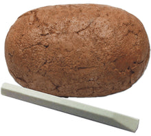 Starter Kit Dino Eggs