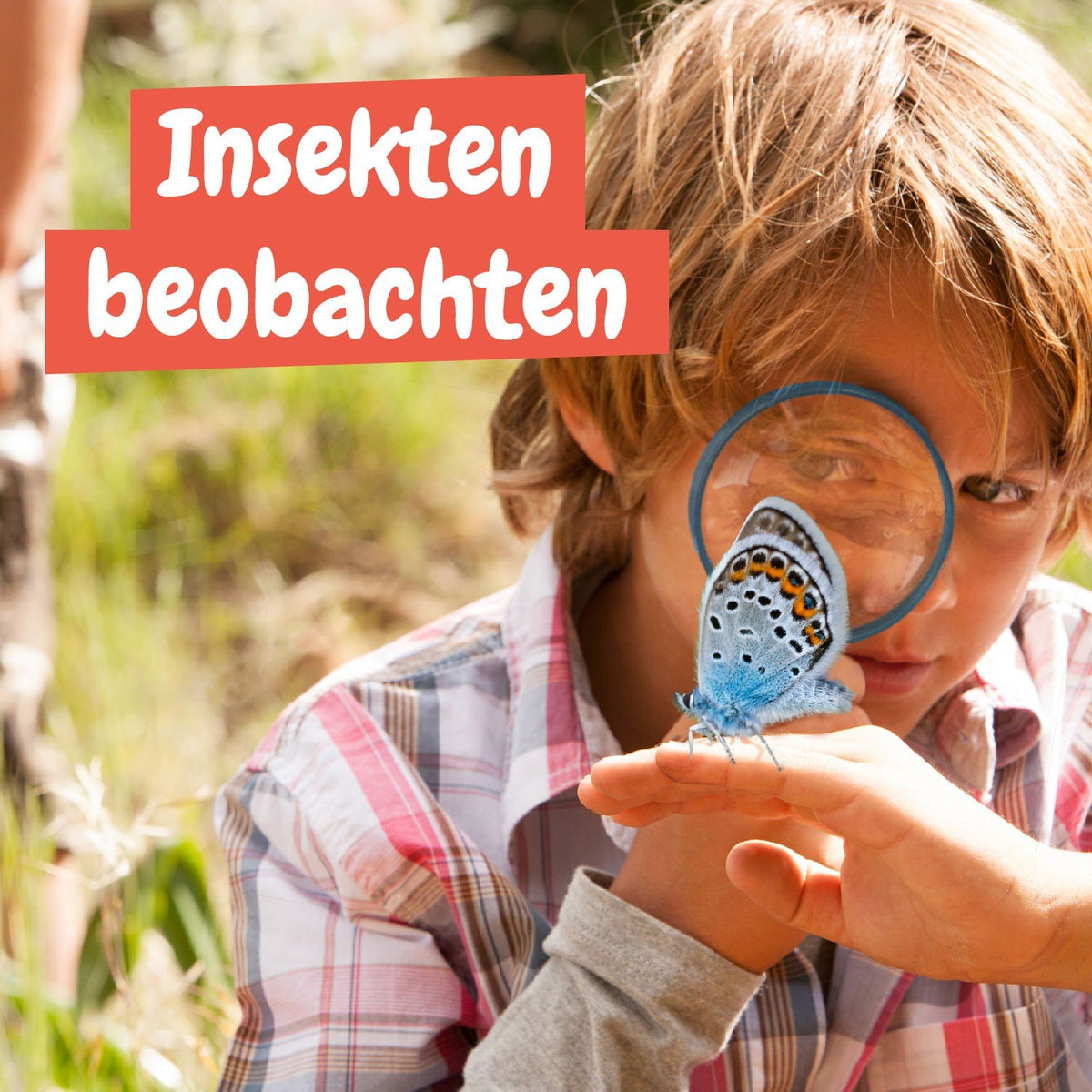 Erstes Experimentierkasten