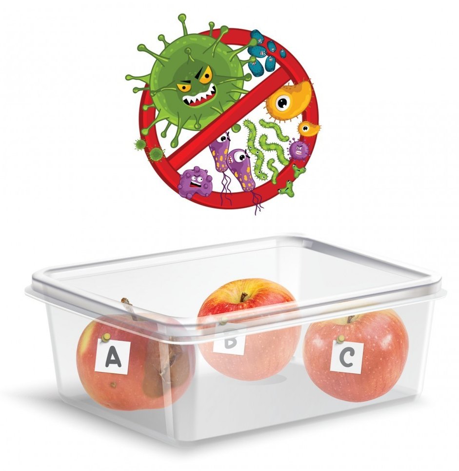 Laboratorio Antivirus -  Multilingue