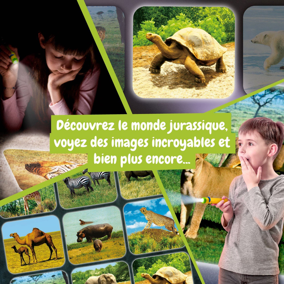 Lanterne Projecteur Dinosaur