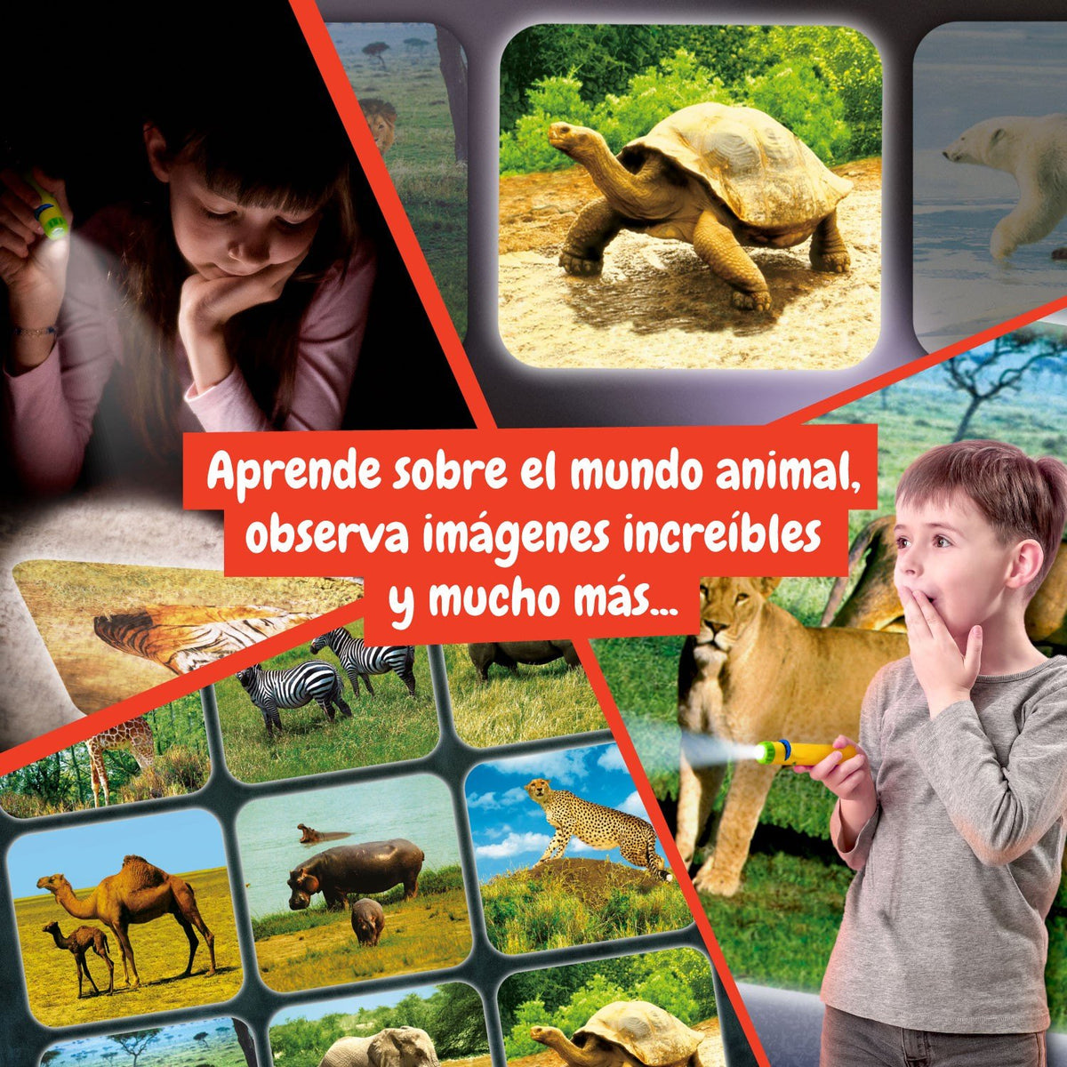 Linterna Proyector de Animales