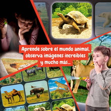 Linterna Proyector de Animales