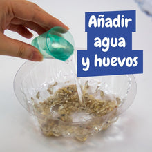 Artémias - Criaturas Aquáticas
