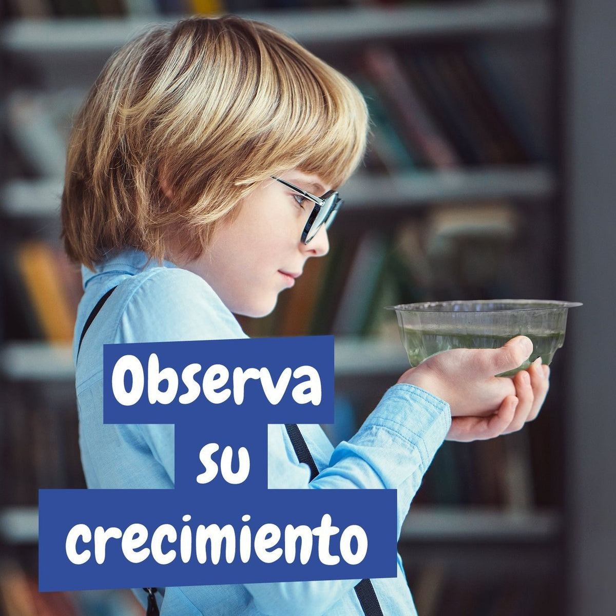 Artémias - Criaturas Aquáticas