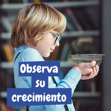 Artémias - Criaturas Aquáticas