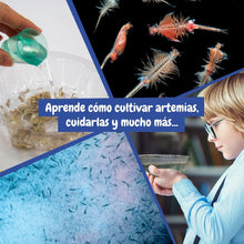 Artémias - Criaturas Aquáticas