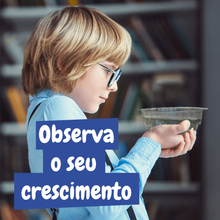 Artémias - Criaturas Aquáticas
