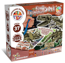Ausgrabungsset Dinosaurier Fossilien 3 in 1