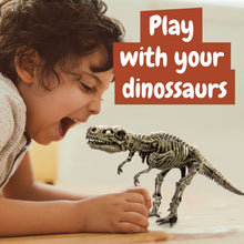 Ausgrabungsset Dinosaurier Fossilien 3 in 1