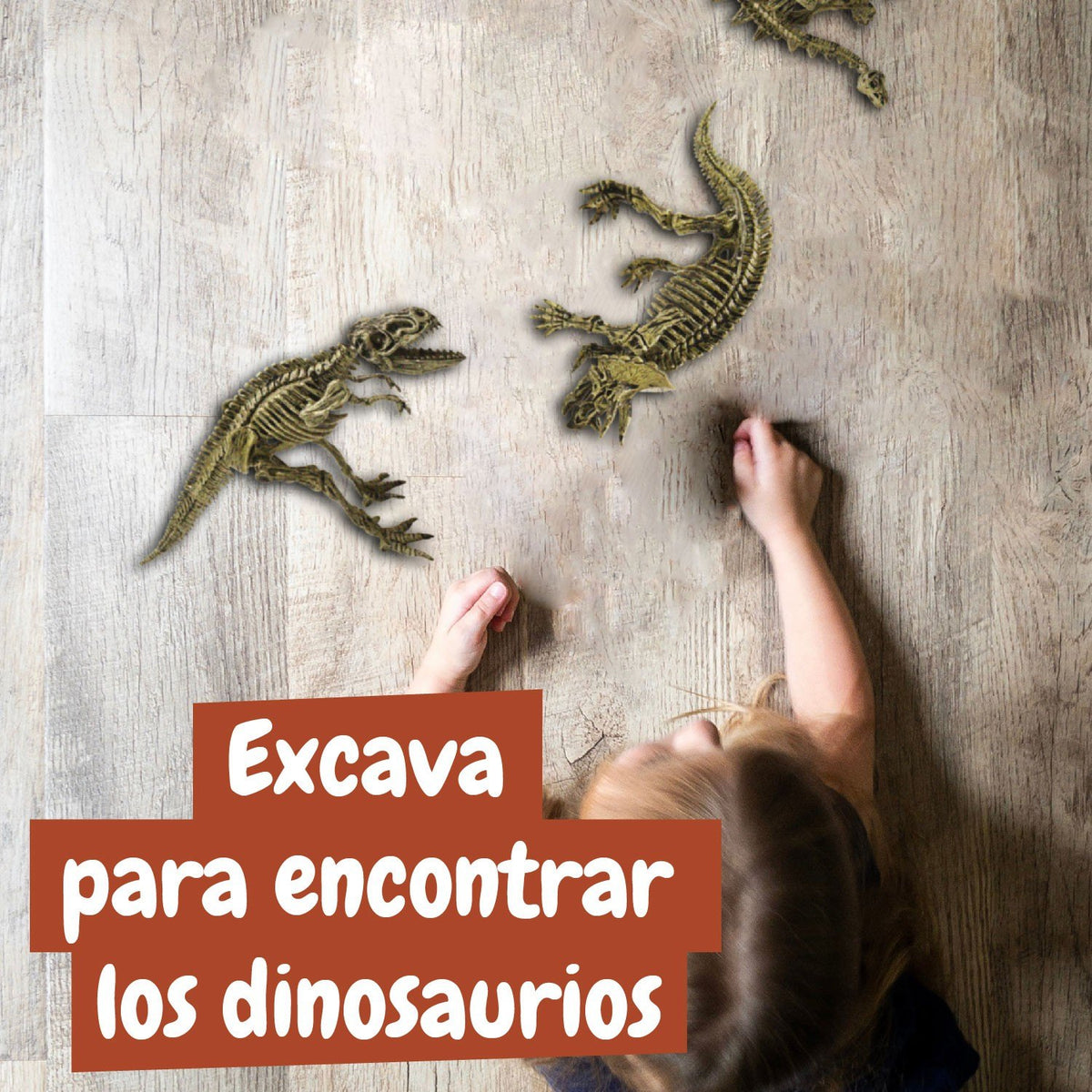Excavaciones Fósiles 3 en 1 - Multi