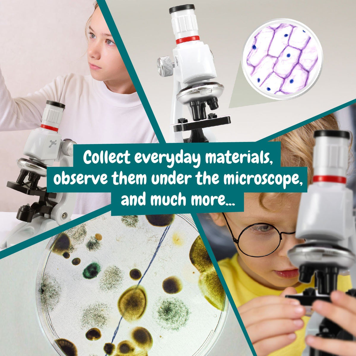 Children's Microscope III