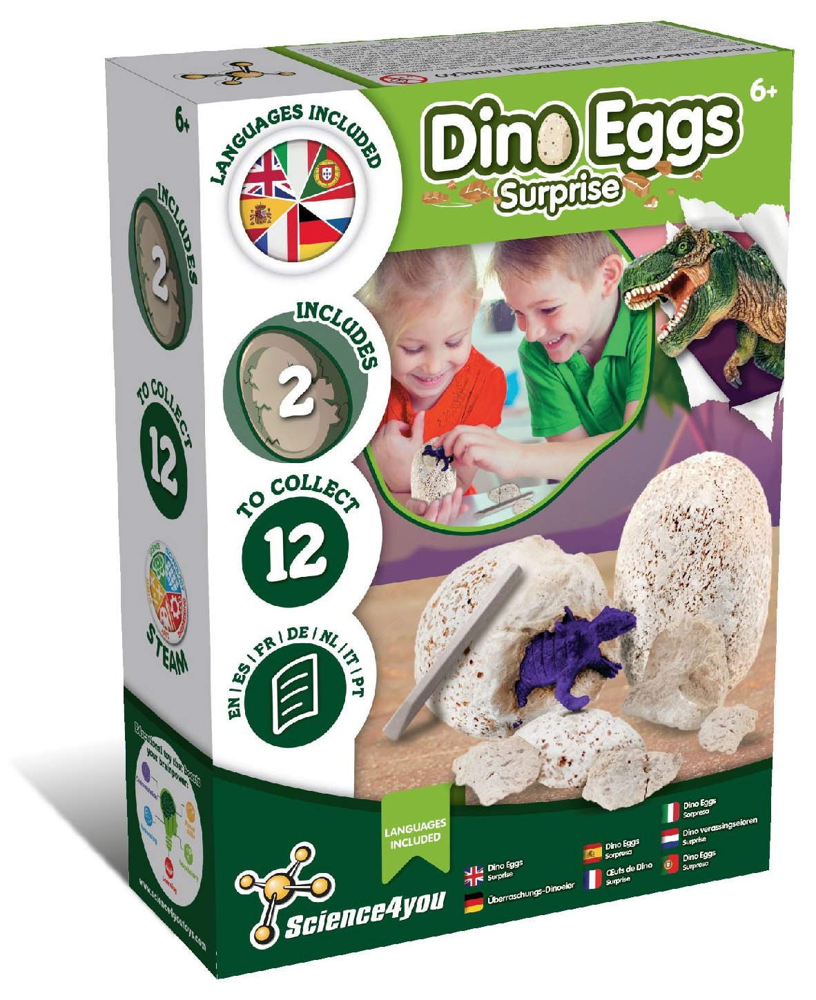 Oeufs de Dinosaure Surprise