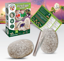 Dino Eggs Surprise