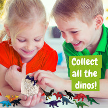 Dino Eggs Surprise