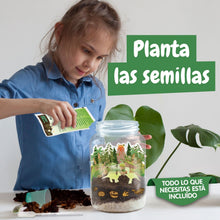 Terrário de Dinossauros