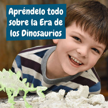 Excavaciones fósiles brillan en la oscuridad - Stegosauros