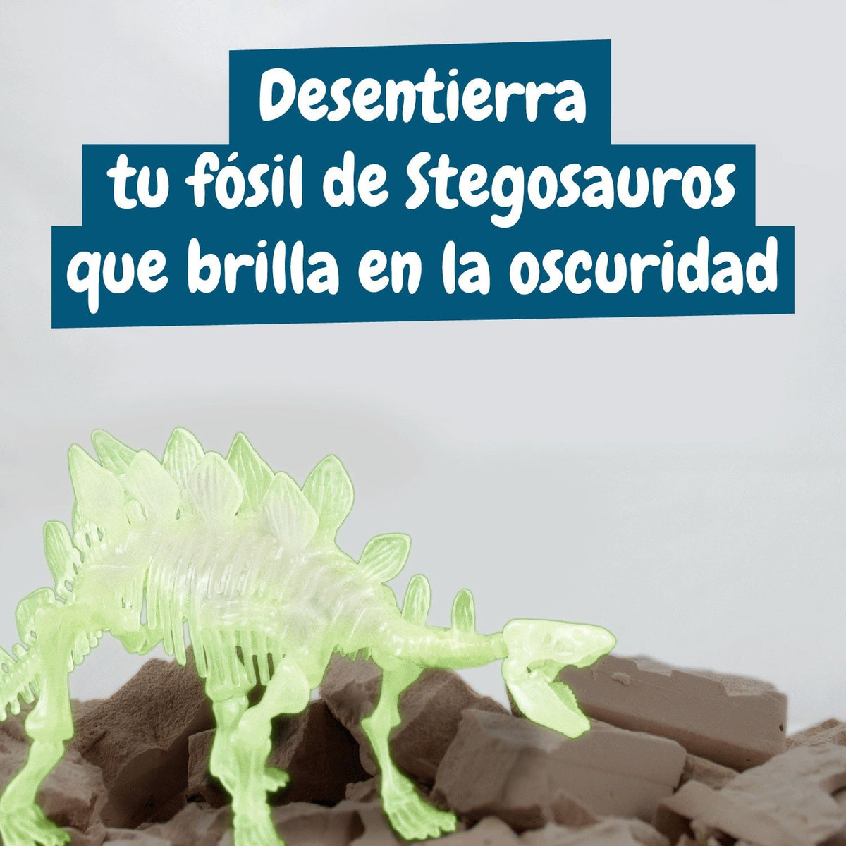 Excavaciones fósiles brillan en la oscuridad - Stegosauros