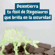 Excavaciones fósiles brillan en la oscuridad - Stegosauros