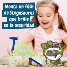 Excavaciones fósiles brillan en la oscuridad - Stegosauros