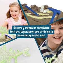 Excavaciones fósiles brillan en la oscuridad - Stegosauros