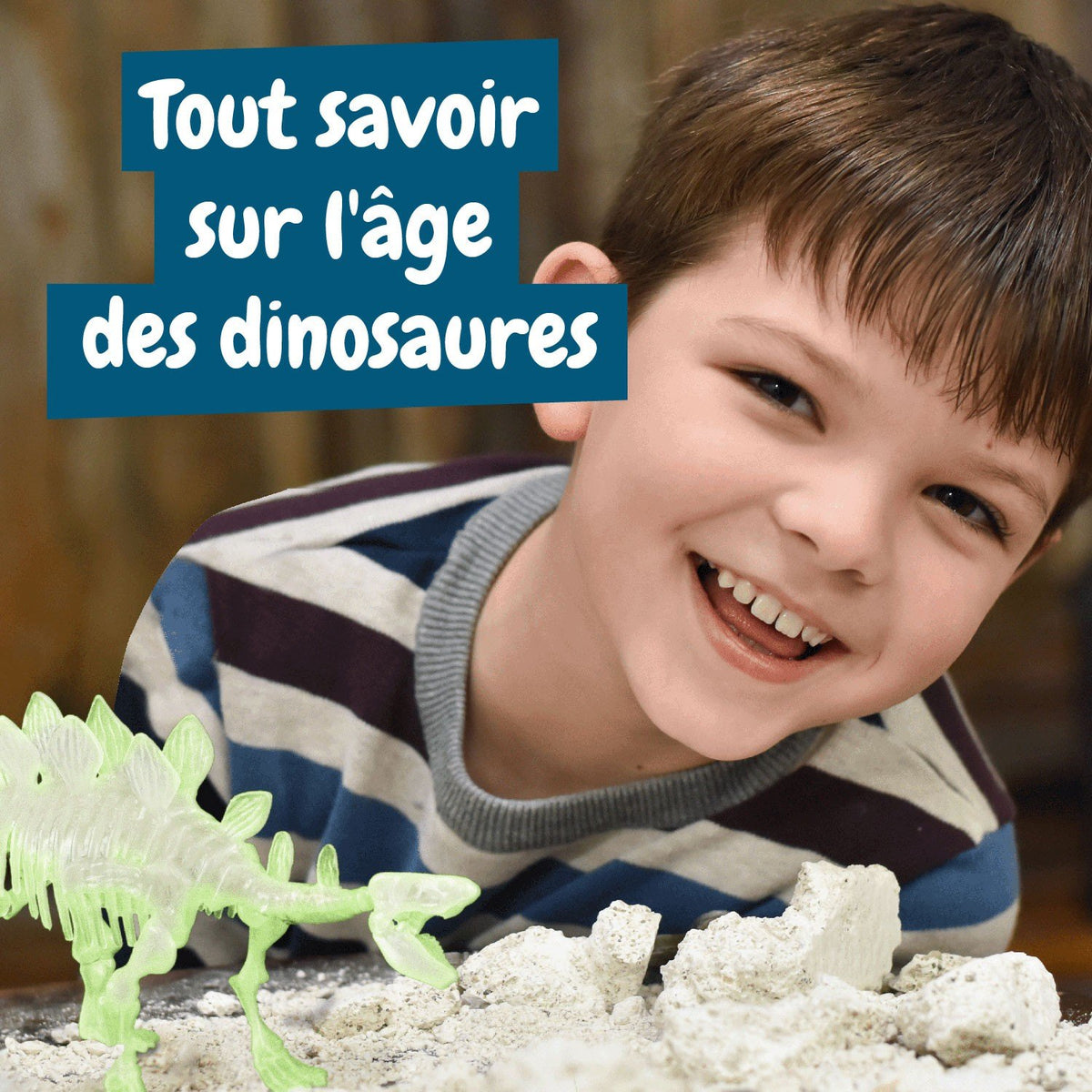 Les fouilles fossiles brillent dans l'obscurité - Stegosaurus