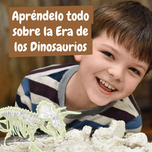 Excavaciones fósiles brillan en la oscuridad - Triceratops