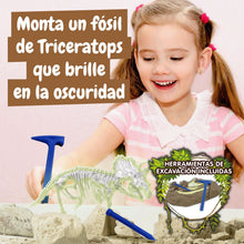 Excavaciones fósiles brillan en la oscuridad - Triceratops