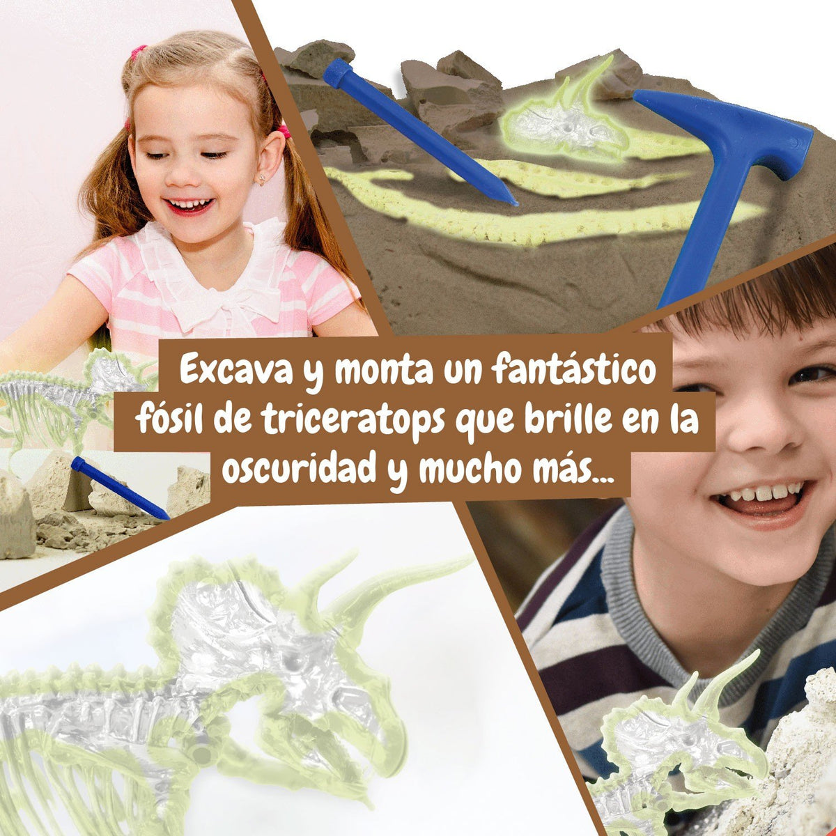Excavaciones fósiles brillan en la oscuridad - Triceratops