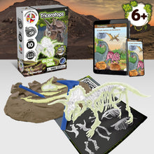 Fossil Excavations Glow in the Dark - Triceratops