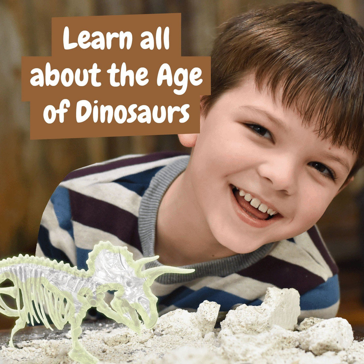 Fossil Excavations Glow in the Dark - Triceratops