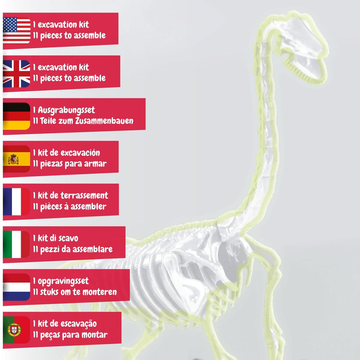 Fossilienausgrabungen leuchten im Dunkeln - Brachiosaurus