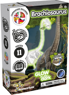 Excavaciones fósiles brillan en la oscuridad - Brachiosaurus