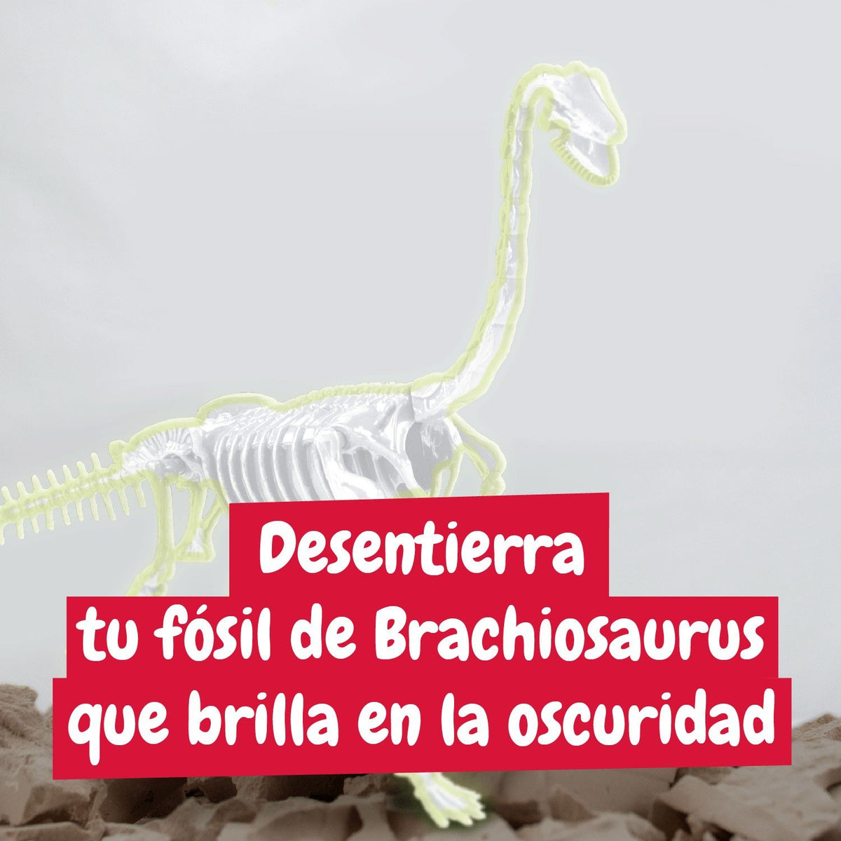 Excavaciones fósiles brillan en la oscuridad - Brachiosaurus