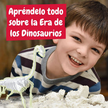 Excavaciones fósiles brillan en la oscuridad - Brachiosaurus