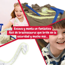 Excavaciones fósiles brillan en la oscuridad - Brachiosaurus