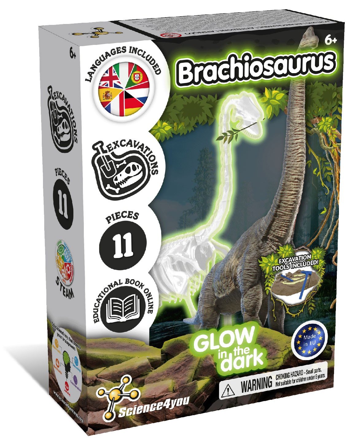 Les fouilles de fossiles brillent dans l'obscurité - Brachiosaurus