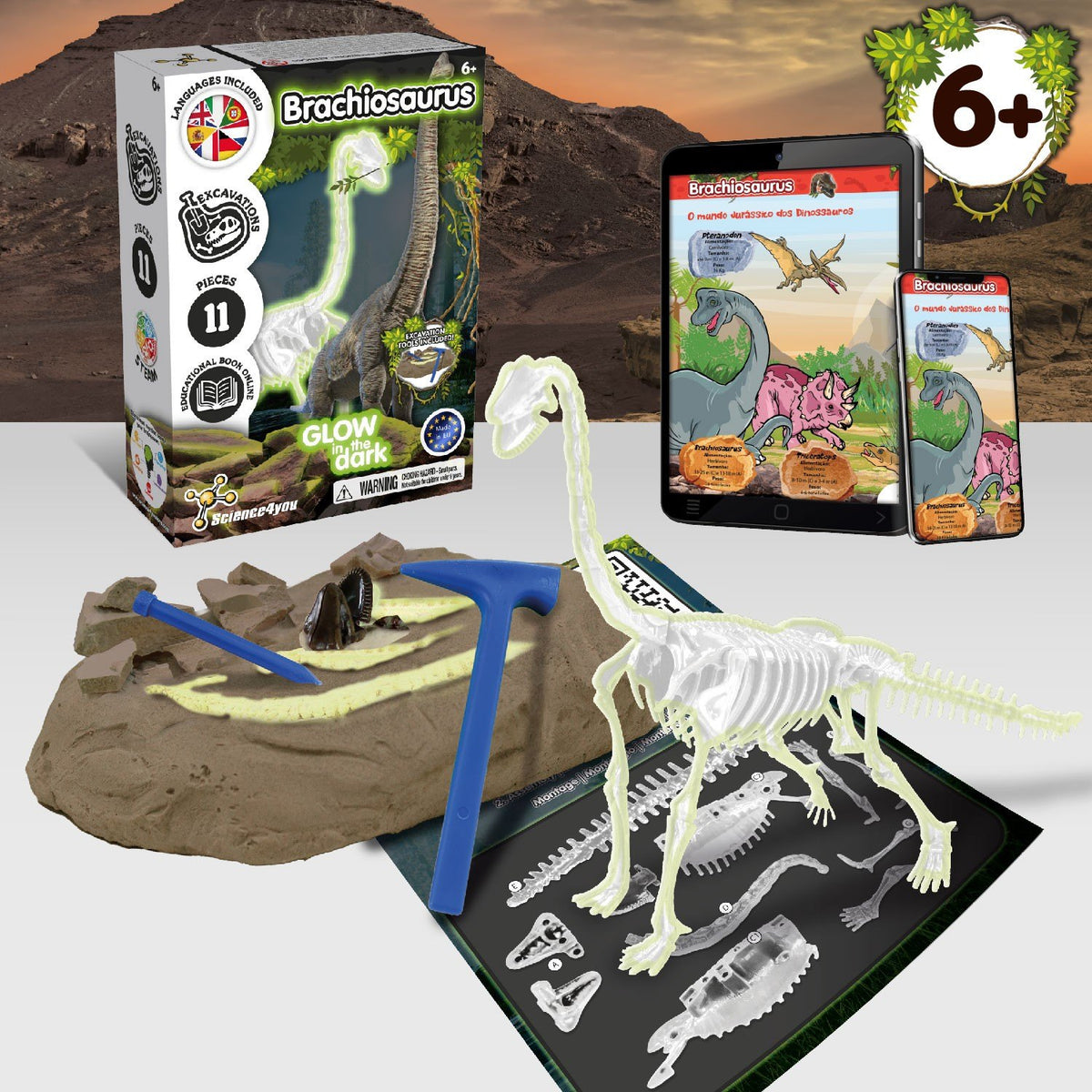 Glow-in-the-dark Fossil Excavations - Brachiosaurus