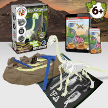 Glow-in-the-dark Fossil Excavations - Brachiosaurus